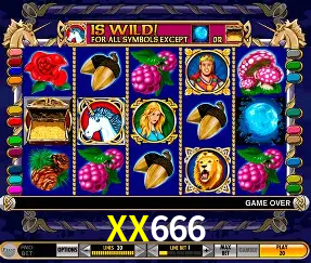 A Experiência Imersiva dos Cassinos Ao Vivo no XX666